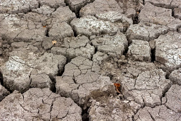 干ばつ乾燥した割れた土乾燥した湖の海岸近く — ストック写真