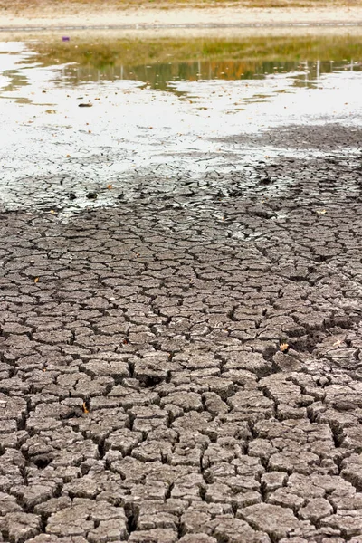 Droogte Droge Gebarsten Grond Droge Oever Van Het Meer Close — Stockfoto