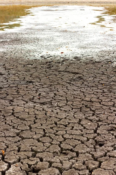 Droogte Droge Gebarsten Grond Droge Oever Van Het Meer Close — Stockfoto