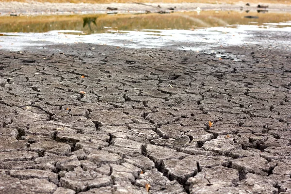 Droogte Droge Gebarsten Grond Droge Oever Van Het Meer Close — Stockfoto