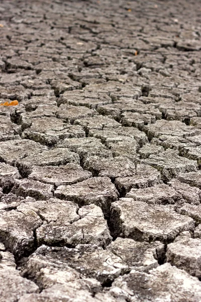 Droogte Droge Gebarsten Grond Droge Oever Van Het Meer Close — Stockfoto