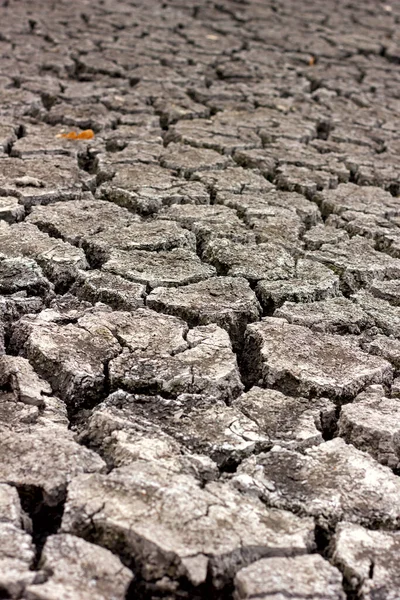 Droogte Droge Gebarsten Grond Droge Oever Van Het Meer Close — Stockfoto