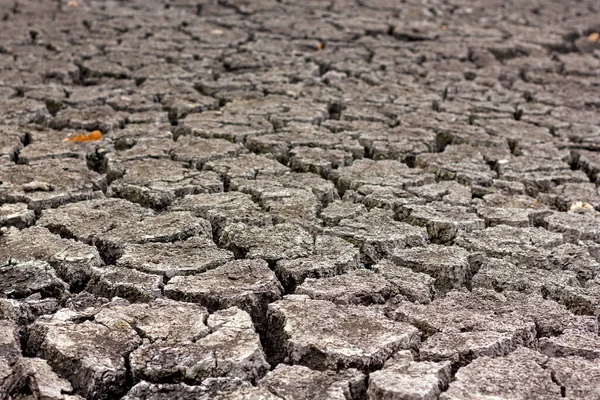 Drought Dry Cracked Soil Dry Lake Shore Close — 스톡 사진