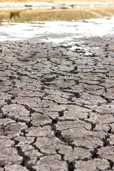 Засуха Сухая Трещина Почвы Сухой Берег Озера Крупным Планом — стоковое фото