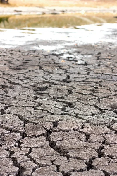 Droogte Droge Gebarsten Grond Droge Oever Van Het Meer Close — Stockfoto