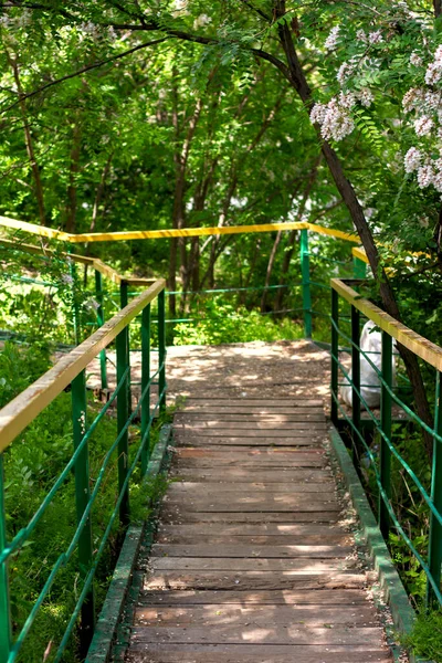 Escalier Bois Avec Balustrade Travers Ravin Dans Une Verdure Été — Photo