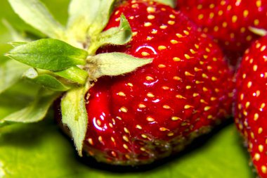 Kırmızı sulu, olgun, beyaz gözlü, yakın plan çilekli.