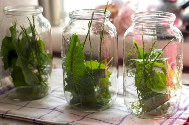 Masanın üzerinde temiz cam kavanozlar var ve evde salatalık konserveleri için yabanturpu, bitki, biber ve dereottan baharatlar içeriyorlar.