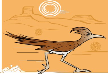 Desert Roadrunner clipart