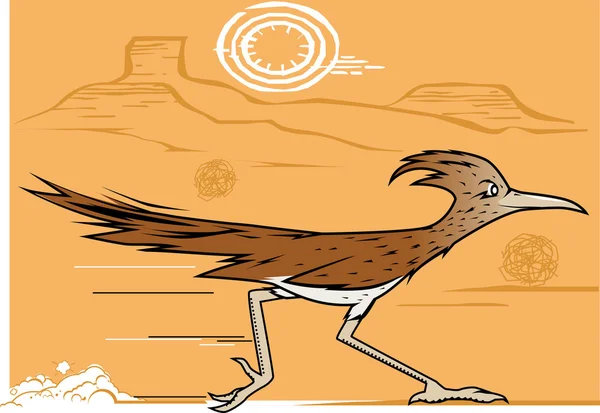 Pouštní Roadrunner — Stockový vektor