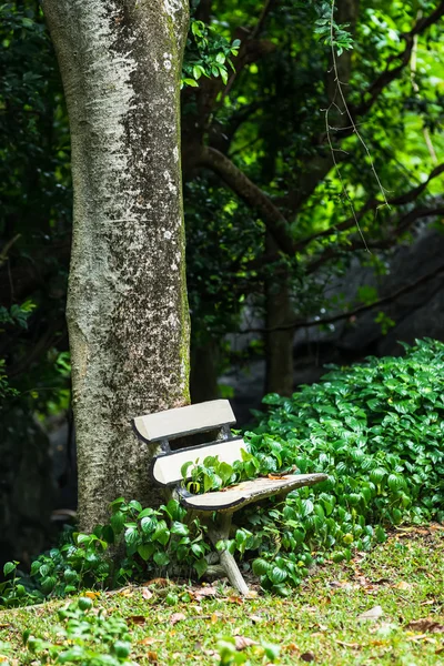 Bench in the park — Stock Photo, Image