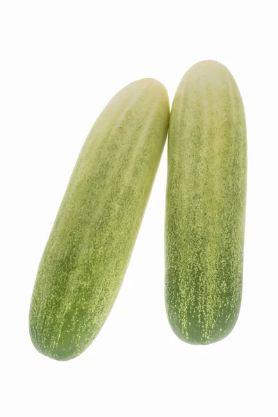 Fresh cucumbers isolated — Stockfoto