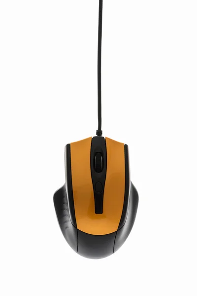 Computer mouse — Stock Photo, Image