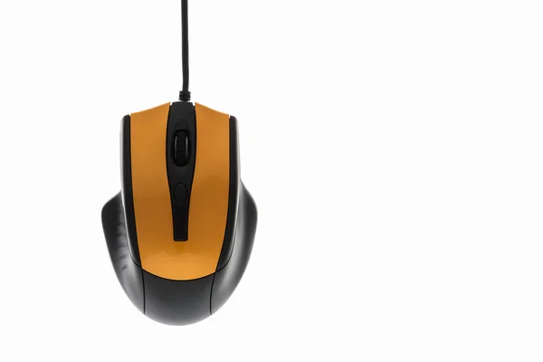 Computer mouse — Stock Photo, Image