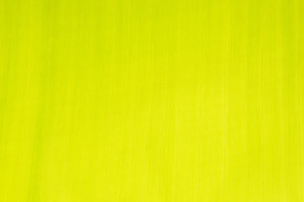 Textura čerstvý zelený list. — Stock fotografie