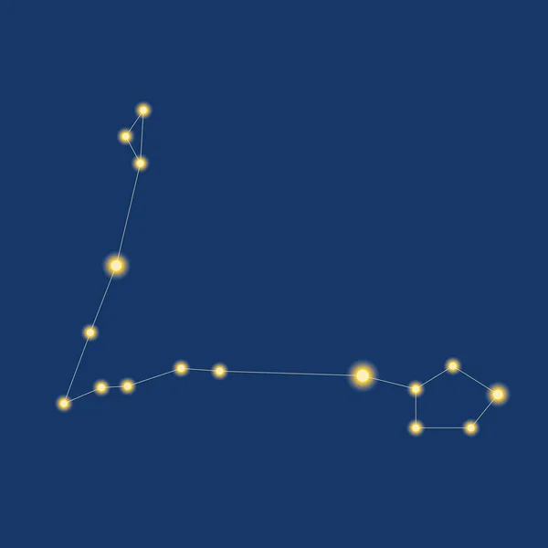 作为黄道带星座孤立的双鱼座 以天文黄道带为图标 标志的矢量图 — 图库矢量图片