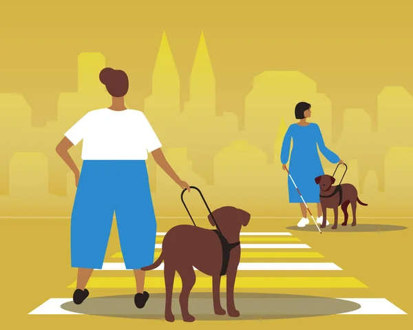 带导盲犬的残疾人 带着拉布拉多犬穿过马路的盲人的平面向量图 — 图库矢量图片