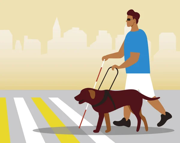 带有导盲犬的年轻盲人 复制空间模板 带有包容性街道的平面向量库 适用于带有Lobrador犬的残疾人 — 图库矢量图片