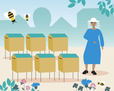 Arı arısı, çiçek nektarından bal. Düz vektör stok çizimi. Arı çiftliğindeki kadın arıcı. Doğal tatlılık. Böcekli arı evleri. Vektör grafikleri