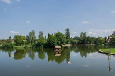 Güzel barışçıl doğa, göldeki ağaçlar ve bitkiler, yüzen kuş evi, yaz mevsimi, suda yansıma, Zagorka Gölü, Stara Zagora, Bulgaristan