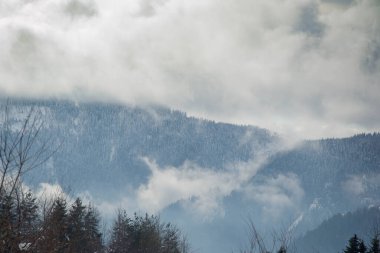 Bulutları, ormanı, kış manzarası, karla kaplı zirvesi, Rodop Dağı, Bulgaristan