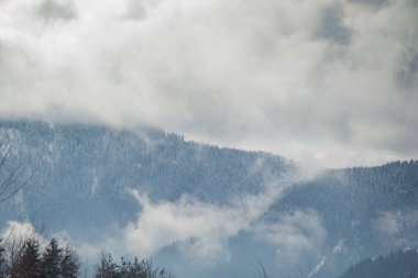 Bulutları, ormanı, kış manzarası, karla kaplı zirvesi, Rodop Dağı, Bulgaristan