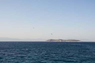 Okyanusta küçük bir kara parçası, güzel mavi okyanus ve mavi gökyüzü. Sakin sakin su, seyahat yeri, yaz manzarası, uçan kuşlar.