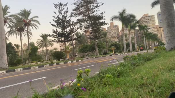 Alexandria Egypten Oktober 2020 Vacker Utsikt Över Montaza Gardens Med — Stockvideo