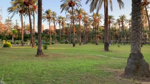 Aleksandria Egipt Października 2020 Piękny Widok Ogrody Montaza Ludźmi Aleksandrii — Wideo stockowe