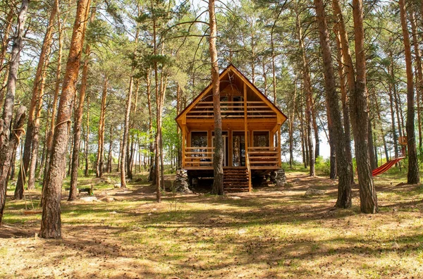 Petite maison en bois au milieu d'une belle pinède en été pendant la journée. Forêt de conifères. — Photo