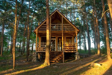 Yazın güzel bir çam ormanının ortasında küçük ahşap bir ev. Kozalaklı orman.