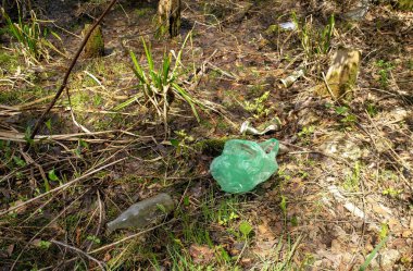 Kokshetau - Kazakistan - 15 Mayıs 2021: Ormanda kirlilik sorunu, doğada çöp. Kozalaklı ve Birch ormanları çöplerle, boş cam şişelerle ve plastikle dolu..