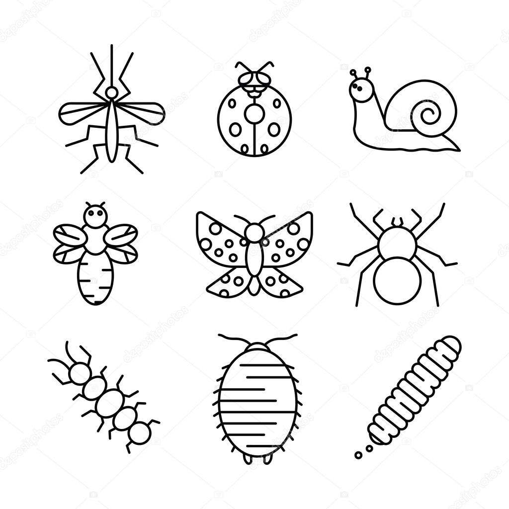 Insect icon set. Butterfly, bee, snail, ladybug, mosquito and similar insect icon set. Set for my insect and flying family concept. Linear icons set.