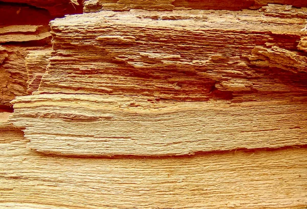 Textura Madera Del Manzano Descubierto Cerca —  Fotos de Stock