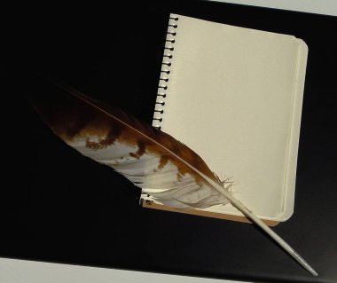 Boş bir not defteri ve geniş bir yırtıcı kuş tüyü açık arkaplanda siyah bir dizüstü bilgisayarda yatar.