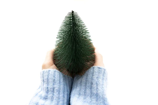 Árvore Natal Pequena Mãos Isoladas Fundo Branco Conceito Eco Natal — Fotografia de Stock