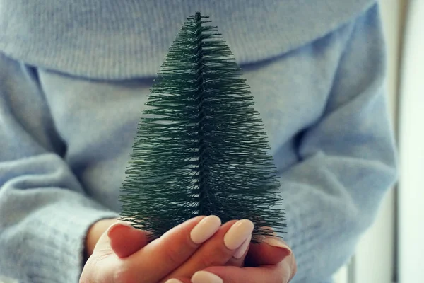 Pequena Árvore Natal Nas Mãos Conceito Eco Natal — Fotografia de Stock