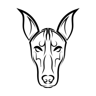 Doberman Pinscher köpek kafasının siyah beyaz çizgisi. Sembol, maskot, simge, avatar, dövme, tişört tasarımı, logo veya istediğiniz herhangi bir tasarım için iyi bir kullanım.