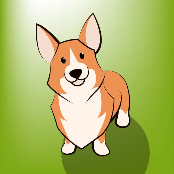 Χαριτωμένο Cartoon Vector Εικονογράφηση Ενός Σκύλου Corgi Είναι Στέκεται — Διανυσματικό Αρχείο