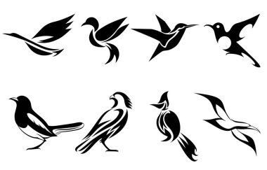 Balıkçıl sinekkuşu saksağan martı ve Spigot bulbul gibi çeşitli kuşların vektör görüntüleri maskot avatarı ve logo için iyi bir kullanım alanı