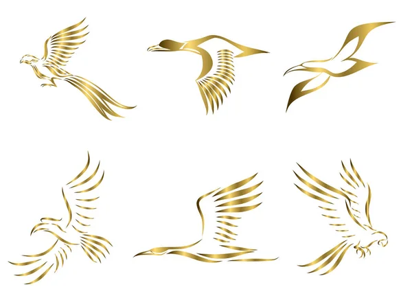 Set Seis Imágenes Vectoriales Oro Varias Aves Volando Como Faisán — Archivo Imágenes Vectoriales