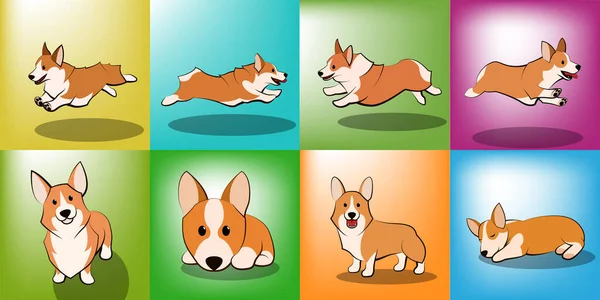 Conjunto Bonito Cartoon Vector Ilustração Cachorro Cachorro Corgi — Vetor de Stock