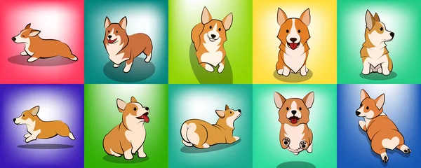 Conjunto Bonito Cartoon Vector Ilustração Cachorro Cachorro Corgi — Vetor de Stock