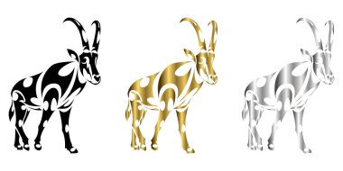 Samur antilopları yürüme çizgisi.