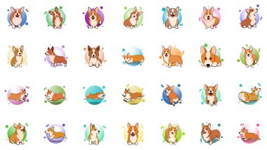 Corgi yavru köpeğinin şirin Çizgi Film Vektör İllüstrasyonu