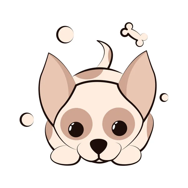 Carino Cartone Animato Vector Illustrazione Icona Cane Cucciolo Chihuahua Design — Vettoriale Stock