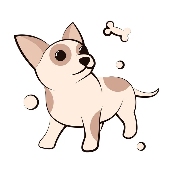 Carino Cartone Animato Vector Illustrazione Icona Cane Cucciolo Chihuahua Design — Vettoriale Stock