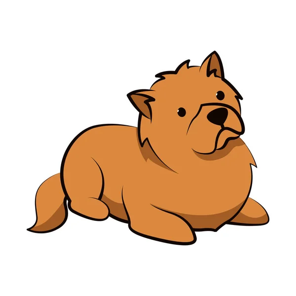 Chow Chow Hund Niedlich Cartoon Flaches Design — Stockvektor