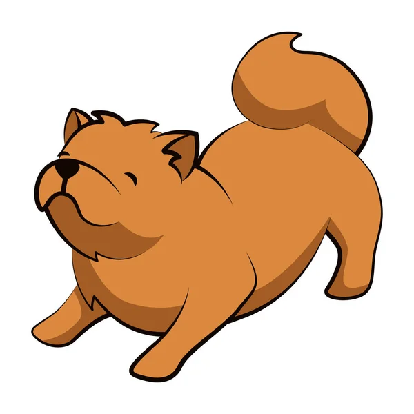 Chow Chow Chow Dog Cute 디자인 — 스톡 벡터