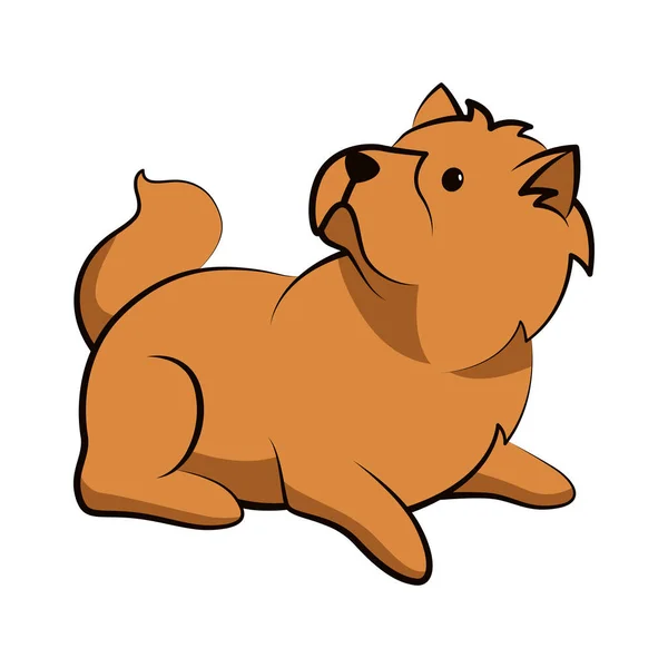 チャウ犬かわいい漫画フラットデザイン — ストックベクタ